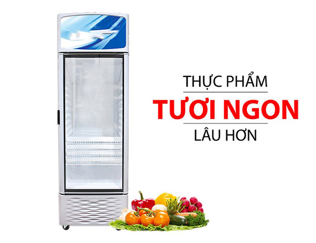 Đặc điểm tủ mát 350l