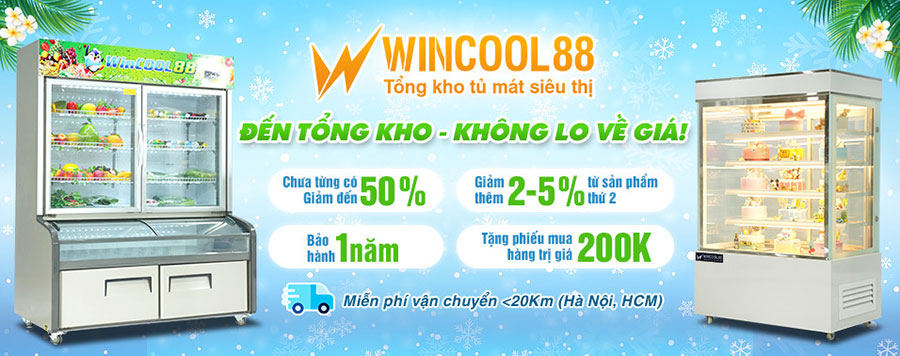 Tủ mát trưng bày Wicool88